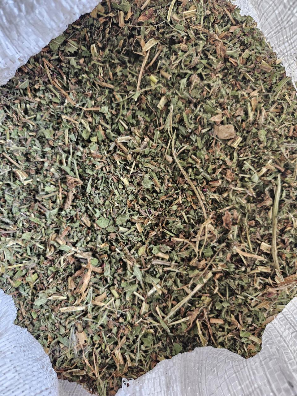 Кіпрей дрібноквітковий, фото 1