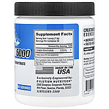 EVLution Nutrition, моногідрату креатину, Creatine 5000, синій, 292 г, фото 2