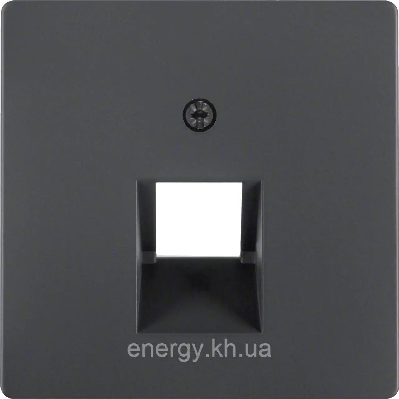 Накладка для 1-кратної розетки UAE Антрацит Q.x - Berker 14076086, фото 1