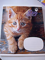 Зошит 18 аркушів клітинка картонна обкладинка червоні поля Бріск в асортименті TB18KLE