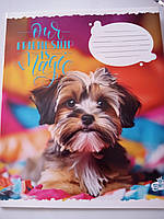 Зошит 18 аркушів, лінія ТМ Бріск ТВ-108л* Бріск