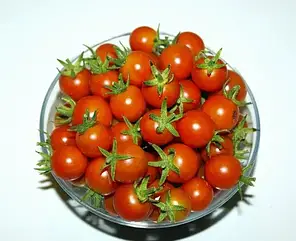 Насіння Томат кімнатний Мінібел 0,1 грам Hem Zaden, фото 3