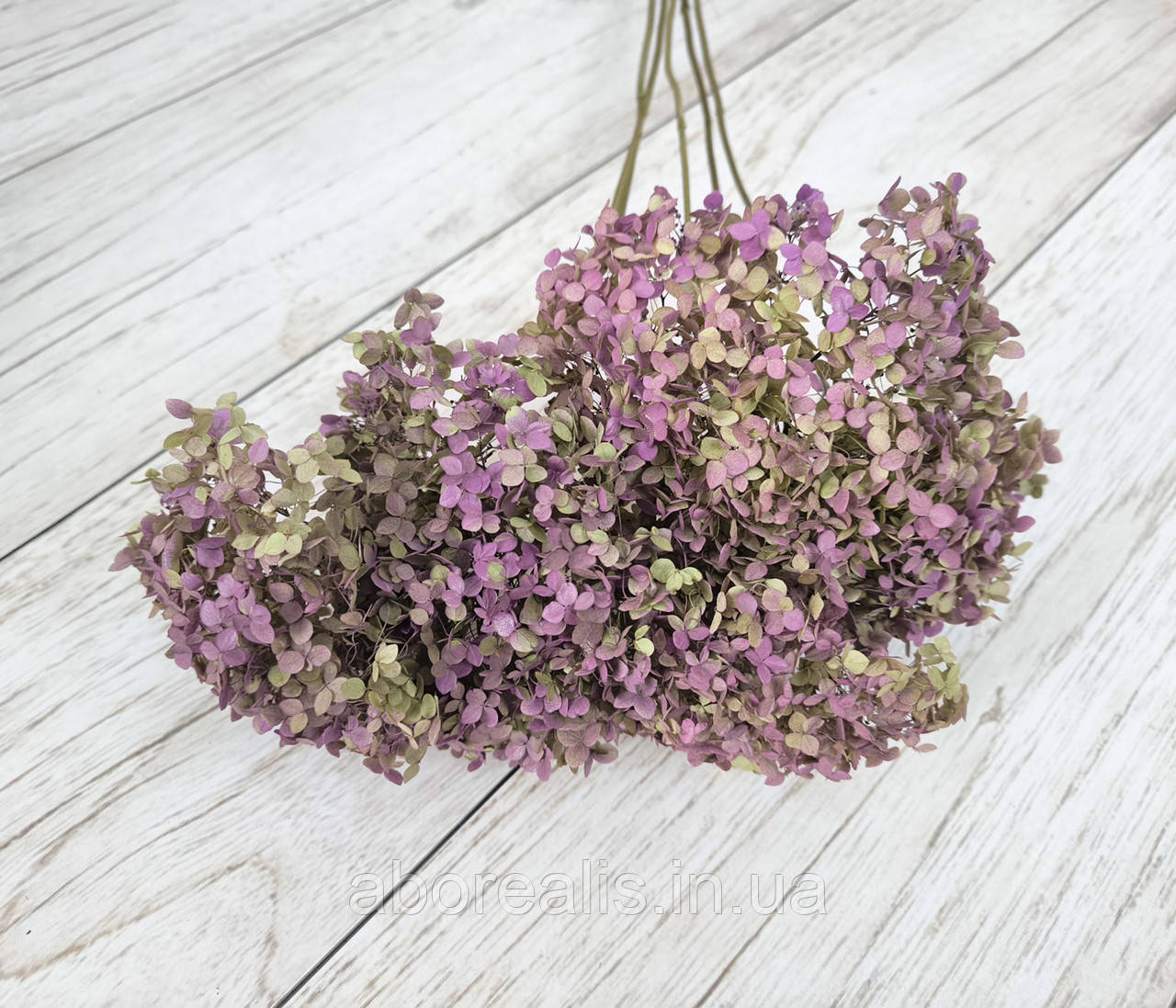 Сухоцвіти квіти гортензії (фіолетовий). 3-4 шт, фото 1