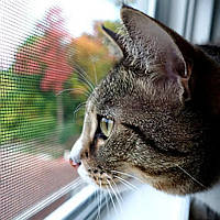 Москітна сітка рамна АНТИКІШКА Антикіготь