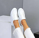 Кеди жіночі шкіряні на шнурках білі та бежеві 36-41, фото 6