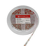 LED стрічка 10Вт 12В 120 діодів, синій, серія Shade, гарантія 2 роки, фото 3