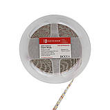 LED стрічка 10Вт 12В 120 діодів, янтарний, серія Shade, гарантія 2 роки, фото 3