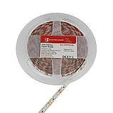 LED стрічка 10Вт 12В 120 діодів, блакитний, серія Shade, гарантія 2 роки, фото 3