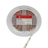 LED стрічка 8,5Вт 220 В 900 Лм , SMD2835 120 діодів, холодний білий 6500К, серія Shade, гарантія 2 роки, фото 3