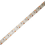 LED стрічка 14Вт 12В 180 діодів, фіолетовий,  IP65 , серія Externum IP65 , гарантія 3 роки, фото 4