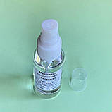 Мастило силіконове побутове, об'єм 50 мл, спрей, фото 2