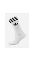Шкарпетки Adidas White 6 пар. 41-46 one size