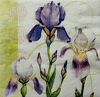 Серветка для декупажу ЦИ-03 (33х33см)