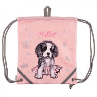 ТОП! Сумка для взуття Yes Doggy Ballet SB-10 (559667) - (gHome)
