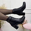 Черевики жіночі шкіряні на стійкому підборі. Колір чорний, фото 5