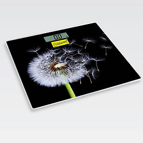 Ваги електронні до 150 кг Maestro MR-1828 - MegaLavka