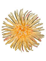 Голівка хризантеми без стебла текстиль 18 см персикова (К13230)