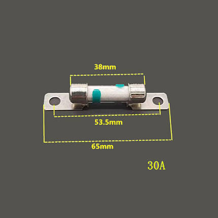 Автомобільний запобіжник високої напруги PEC 450V 30A, фото 1