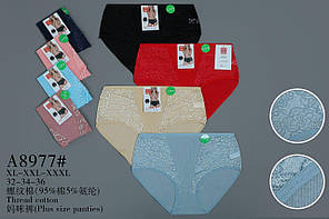 Труси жіночі "Батальні" 48-56 Максі (8977)