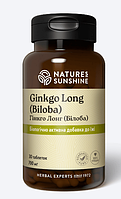 Гінкго Лонг (Білоба)