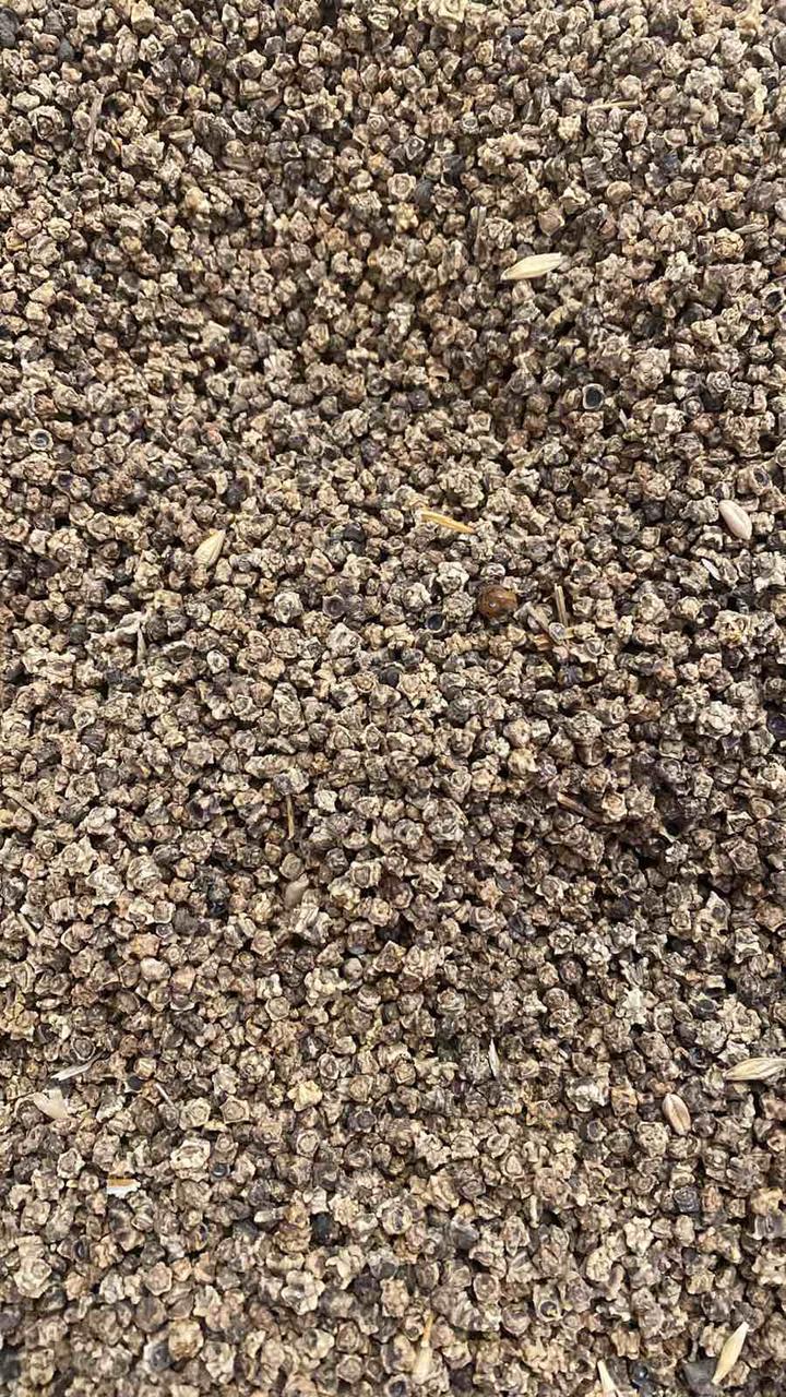 УРСУС ПОЛІ 1 гр (Malopolska), фото 1