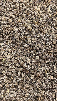 РЕКОРД ПОЛІ 1 гр (Malopolska)