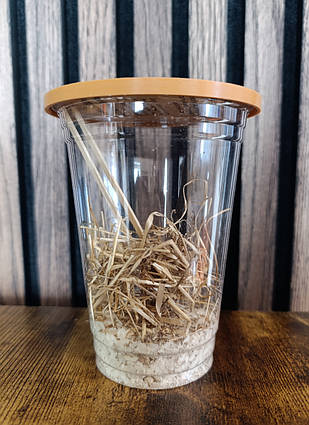 Набір : стакан з кришкою+субстрат+сіно