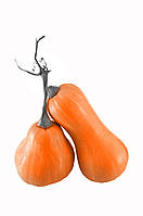 Насіння гарбуза Арабатська 10 г Агролиния