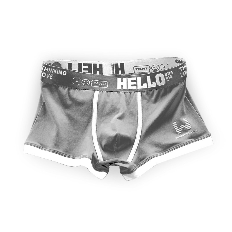 Чоловічі труси боксери Lesko PB-3199 Gray 3XL 10 шт., фото 1