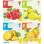 Зошит на 36 аркушів з кольоровою обкладинкою в лінію "Мрії" "mix" Упаковка 16 шт., фото 10