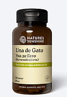 Уна де Гато (Котячий кіготь)