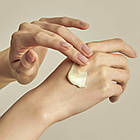 Torriden SOLID IN Ceramide Cream Бар'єрний крем з ліпідами і церамідами, 70 мл. До 01/2027, фото 3