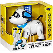 Інтерактивна іграшка Собака-Робот SHT K21 white, фото 5