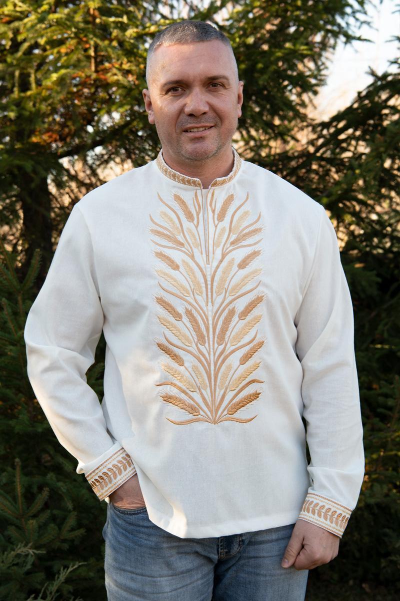 Молочна чоловіча вишиванка з золотою вишивкою колосків на льоні великі розміри
