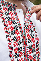 Π§ΠΎΠ»ΠΎΠ²ΡΡΠ° Π²ΠΈΡΠΈΠ²Π°Π½ΠΊΠ° Π· ΠΊΠΎΡΠΎΡΠΊΠΈΠΌ ΡΡΠΊΠ°Π²ΠΎΠΌ Π±ΡΠ»Π° Π· ΡΠ΅ΡΠ²ΠΎΠ½ΠΎ ΡΠΎΡΠ½ΠΎΡ Π²ΠΈΡΠΈΠ²ΠΊΠΎΡ Ρ
ΡΠ΅ΡΡΠΈΠΊΠΎΠΌ Ρ ΠΊΠ»Π°ΡΠΈΡΠ½ΠΎΠΌΡ ΠΎΡΠ½Π°ΠΌΠ΅Π½ΡΡ, ΡΠΎΡΠΎ 2