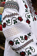 Π‘ΠΎΡΠΎΡΠΊΠ° Π· Π²ΠΈΡΠΈΠ²ΠΊΠΎΡ ΠΆΡΠ½ΠΎΡΠ° Π±ΡΠ»Π° Π· ΠΌΠ΅ΡΠ΅ΠΆΠΈΠ²ΠΎΠΌ ΡΠ° ΡΠ΅ΡΠ²ΠΎΠ½ΠΎ-ΡΠΎΡΠ½ΠΎΡ Ρ
ΡΠ΅ΡΡΠΈΠΊΠΎΠ²ΠΎΡ Π²ΠΈΡΠΈΠ²ΠΊΠΎΡ Π½Π° ΡΡΠΊΠ°Π²Π°Ρ
, ΡΠΎΡΠΎ 2