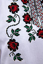 Π‘ΠΎΡΠΎΡΠΊΠ° Π· Π²ΠΈΡΠΈΠ²ΠΊΠΎΡ ΠΆΡΠ½ΠΎΡΠ° Π±ΡΠ»Π° Π· ΠΌΠ΅ΡΠ΅ΠΆΠΈΠ²ΠΎΠΌ ΡΠ° ΡΠ΅ΡΠ²ΠΎΠ½ΠΎ-ΡΠΎΡΠ½ΠΎΡ Ρ
ΡΠ΅ΡΡΠΈΠΊΠΎΠ²ΠΎΡ Π²ΠΈΡΠΈΠ²ΠΊΠΎΡ Π½Π° ΡΡΠΊΠ°Π²Π°Ρ
, ΡΠΎΡΠΎ 4