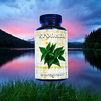 Кропива у капсулах