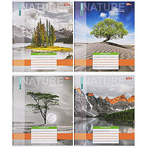 Зошит шкільний 12 аркушів клітинка "Природа" 3449