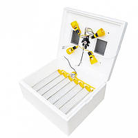 Інкубатор побутової Теплуси на 63 яйця з автоматичним переворотом