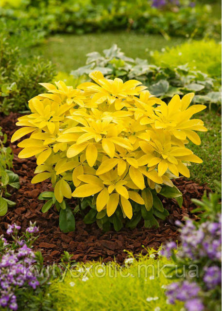 Jinsiy aloqada bolgan kollej qizlari fotosuratlari Polshadan katta kokraklar