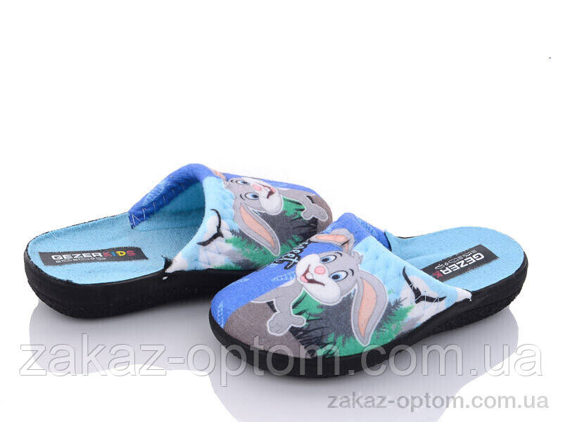 Тапки дитячі весна-осінь (6 пар р.24-29) FS04-1 blue