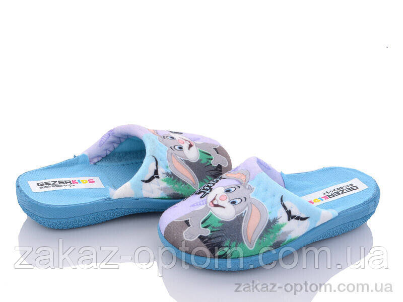 Тапки дитячі весна-осінь (6 пар р.24-29) FS04-2 violet