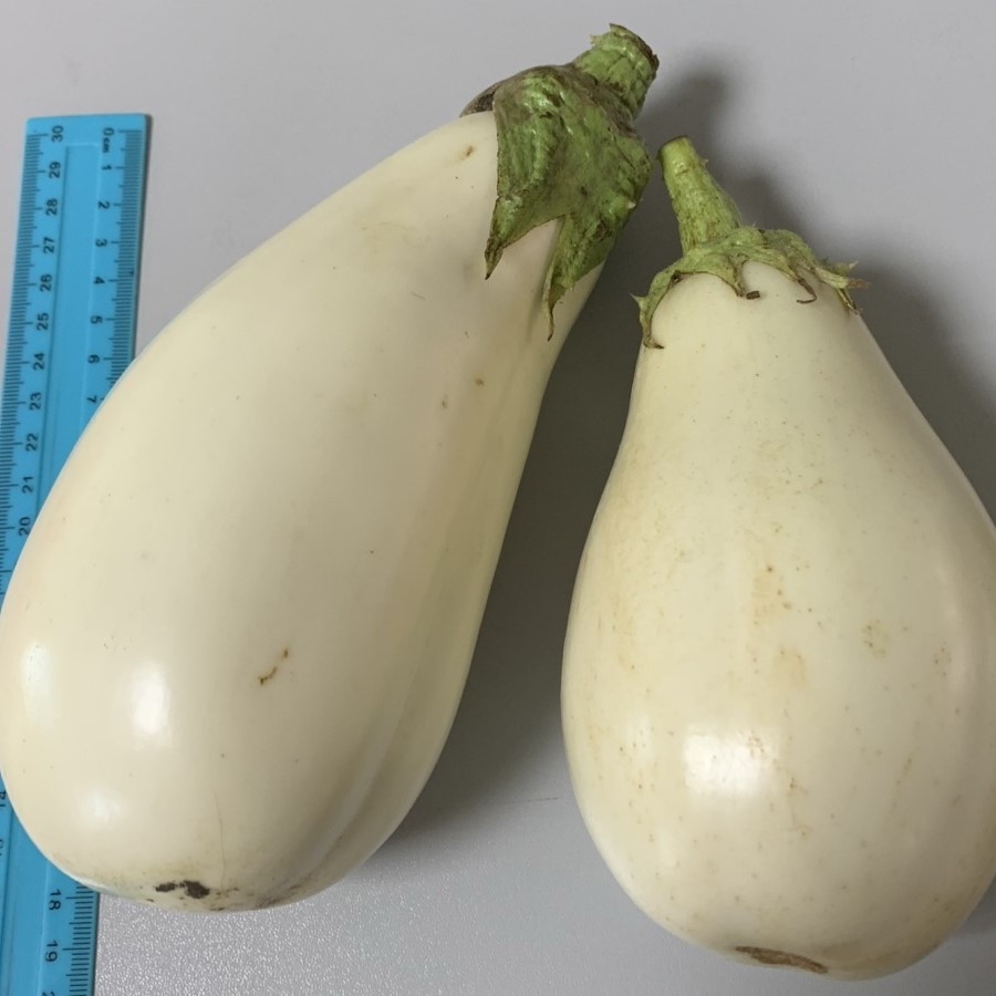 Юкі F1, насіння білого баклажану (1 г) Елітний ряд, фото 1