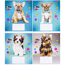 Зошит шкільний 12 аркушів клітинка "Цуценя" 3597