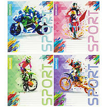 Зошит шкільний 12 аркушів клітинка "Спорт" 3774
