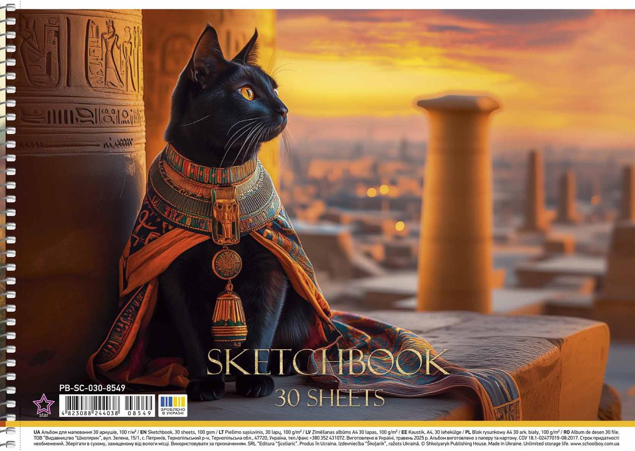 Альбом для малювання на пружині 30100 А4 "Star" УФ-лак PB-SC-030-8549 Школярик, фото 1