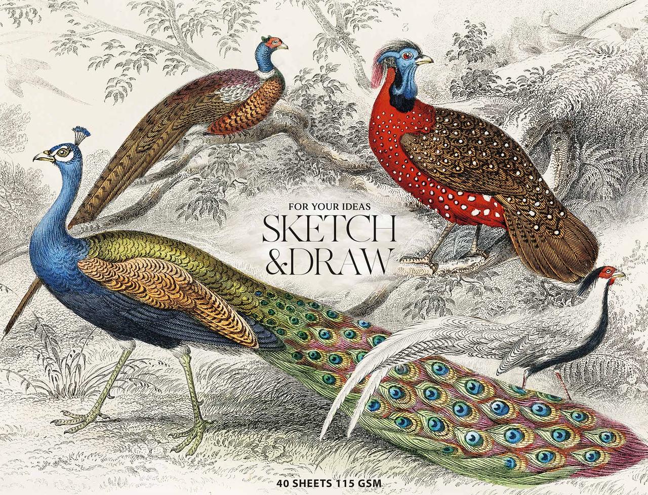 Альбом для ескізів та малювання склейка 40115 A4+ "Muse" PB-GB-040-067 Школярик