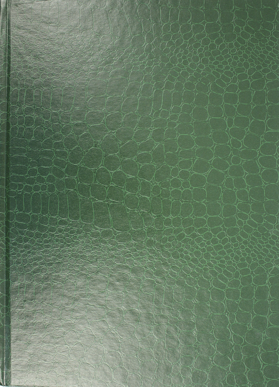 Блокнот А4 96 аркушів  клітинка "Кроко" зелений E21921-04 Economix