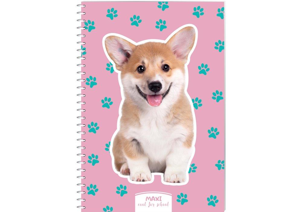 Блокнот пружина A5 60 аркушів  клітинка пластикова "Maxi" MX21213-13